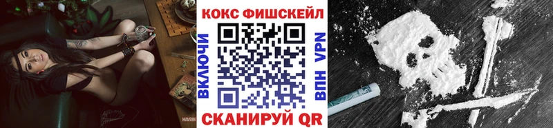 COCAIN FishScale Инсар