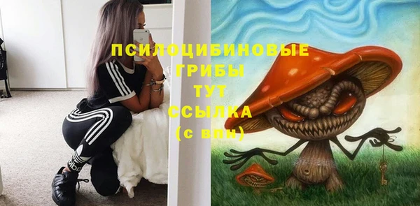 2c-b Абинск