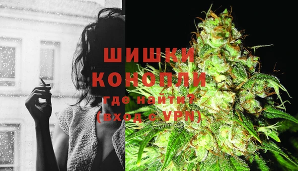 соль ск Алзамай