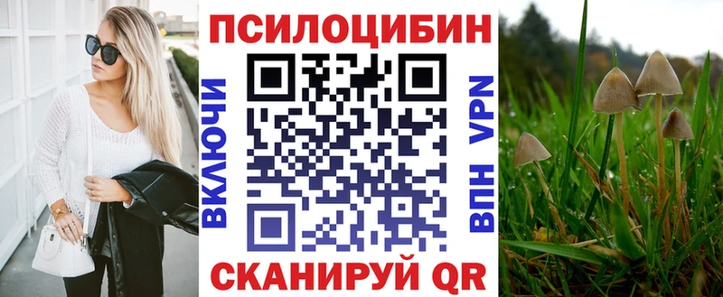 мега ссылка  Инсар  Галлюциногенные грибы MAGIC MUSHROOMS  продажа наркотиков 